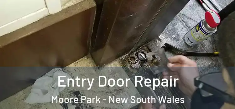 Entry Door Repair Moore Park - New South Wales