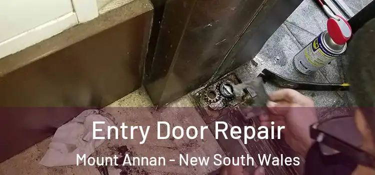 Entry Door Repair Mount Annan - New South Wales