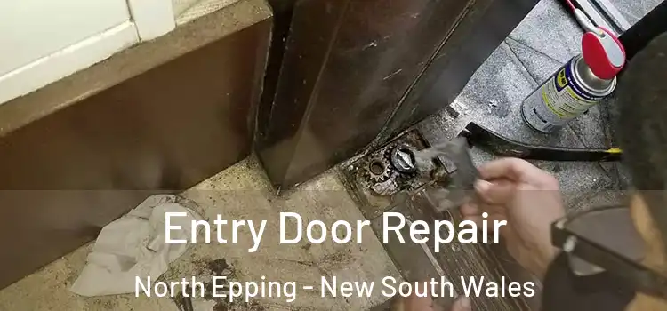 Entry Door Repair North Epping - New South Wales