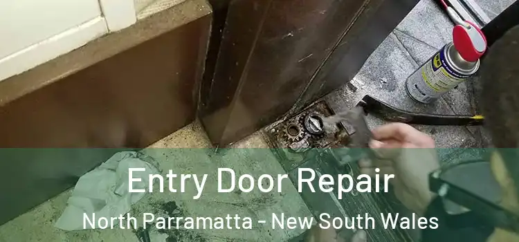 Entry Door Repair North Parramatta - New South Wales