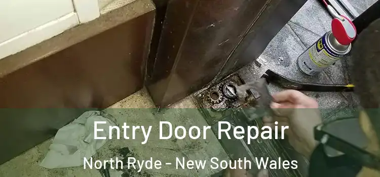 Entry Door Repair North Ryde - New South Wales