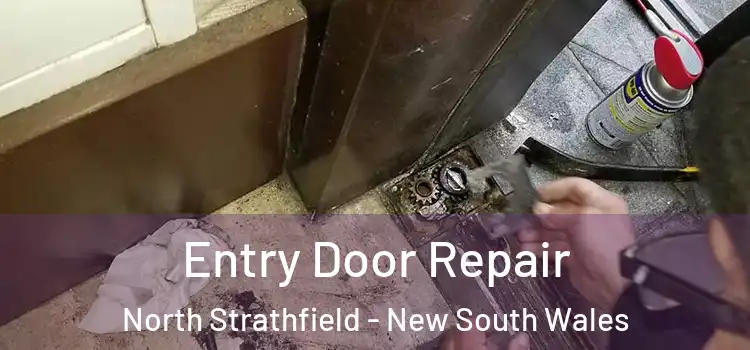 Entry Door Repair North Strathfield - New South Wales