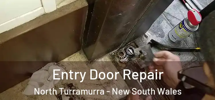 Entry Door Repair North Turramurra - New South Wales