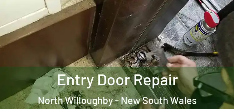 Entry Door Repair North Willoughby - New South Wales