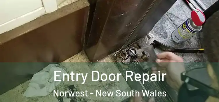 Entry Door Repair Norwest - New South Wales