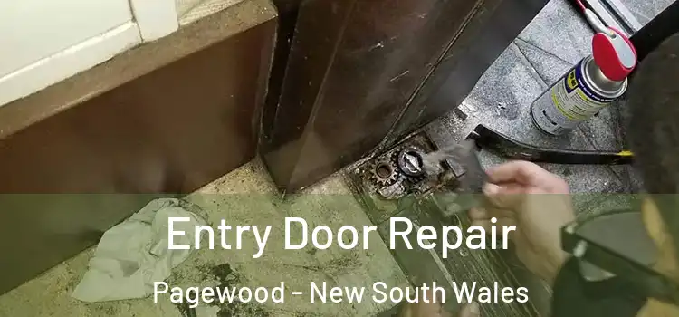 Entry Door Repair Pagewood - New South Wales