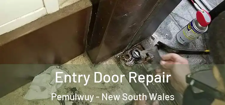 Entry Door Repair Pemulwuy - New South Wales