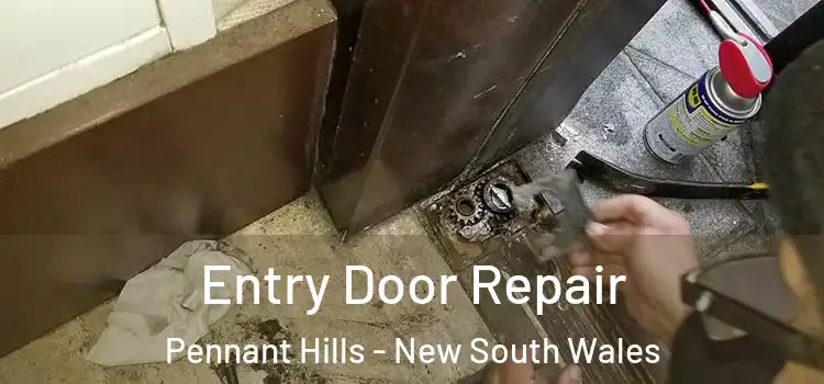 Entry Door Repair Pennant Hills - New South Wales