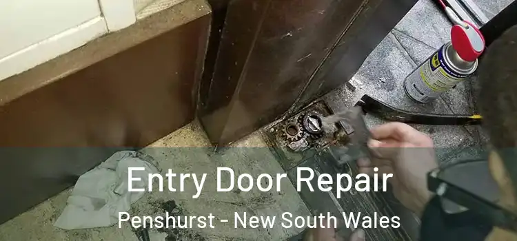 Entry Door Repair Penshurst - New South Wales