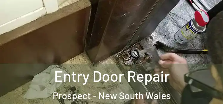 Entry Door Repair Prospect - New South Wales