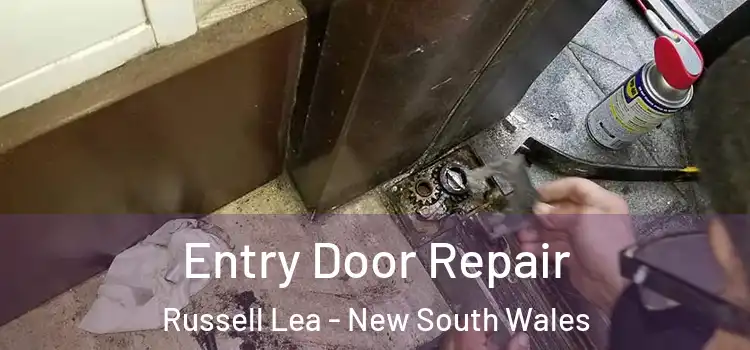 Entry Door Repair Russell Lea - New South Wales