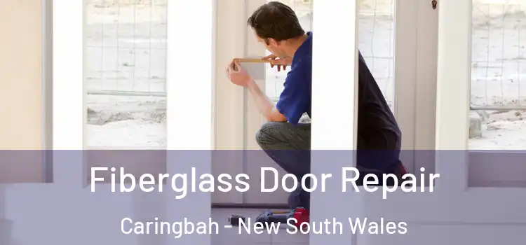 Fiberglass Door Repair Caringbah - New South Wales