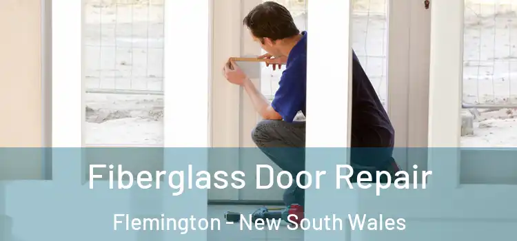 Fiberglass Door Repair Flemington - New South Wales