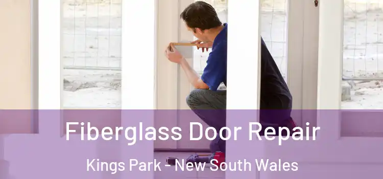 Fiberglass Door Repair Kings Park - New South Wales