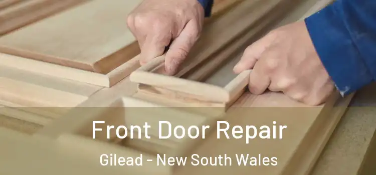 Front Door Repair Gilead - New South Wales