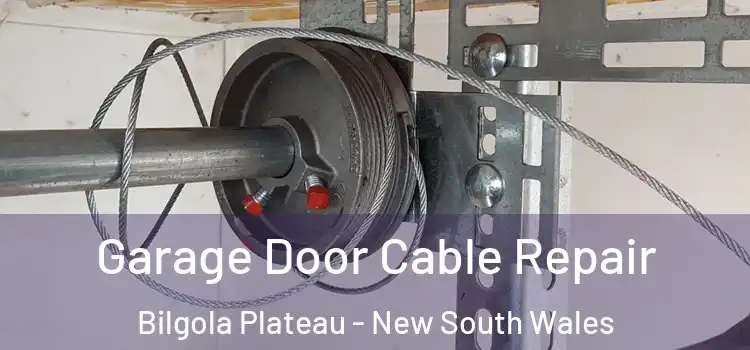 Garage Door Cable Repair Bilgola Plateau - New South Wales
