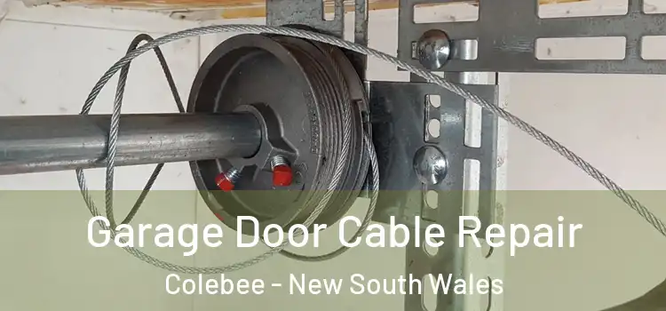 Garage Door Cable Repair Colebee - New South Wales