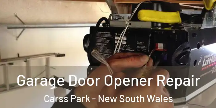 Garage Door Opener Repair Carss Park - New South Wales