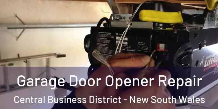 Garage Door Opener Repair Central Business District - New South Wales