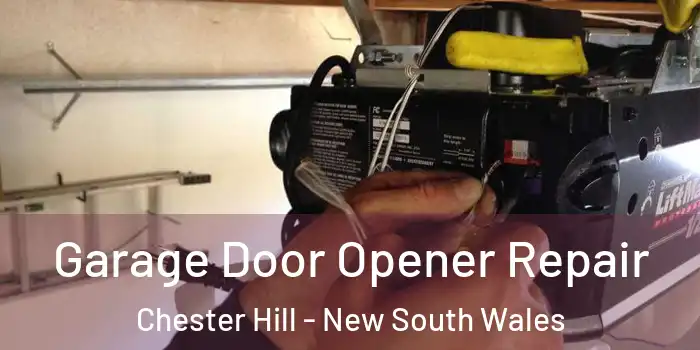Garage Door Opener Repair Chester Hill - New South Wales