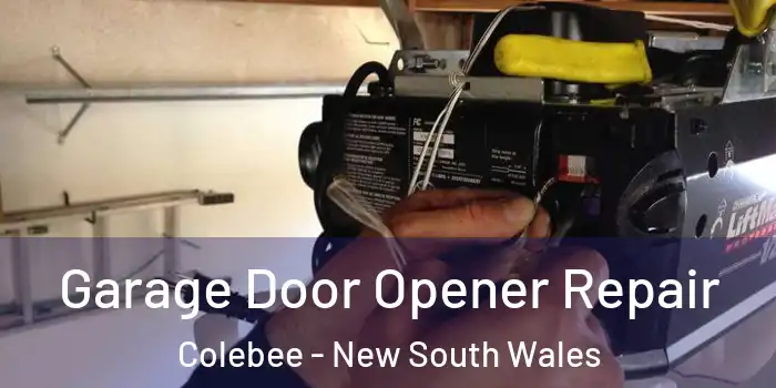 Garage Door Opener Repair Colebee - New South Wales