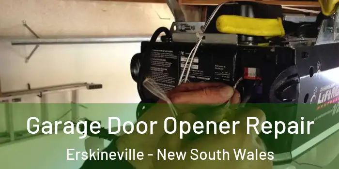 Garage Door Opener Repair Erskineville - New South Wales