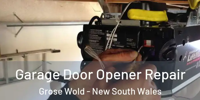 Garage Door Opener Repair Grose Wold - New South Wales