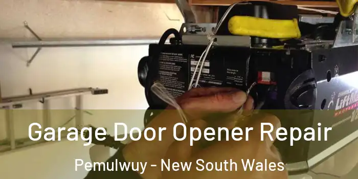 Garage Door Opener Repair Pemulwuy - New South Wales