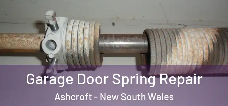 Garage Door Spring Repair Ashcroft - New South Wales