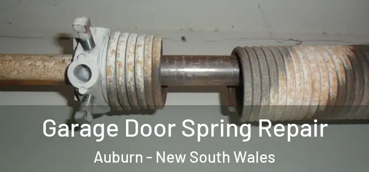 Garage Door Spring Repair Auburn - New South Wales