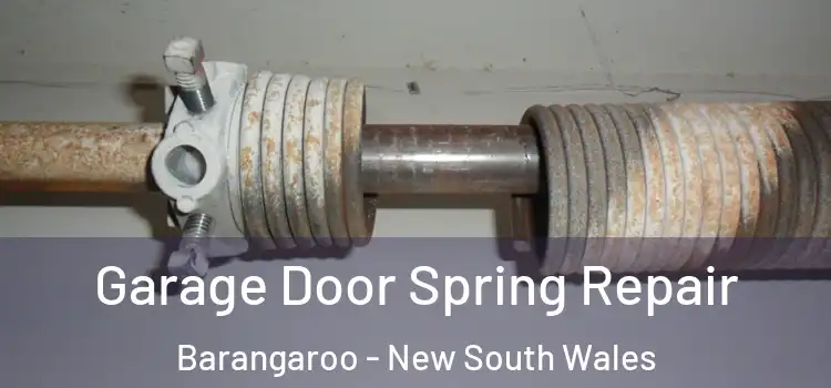 Garage Door Spring Repair Barangaroo - New South Wales