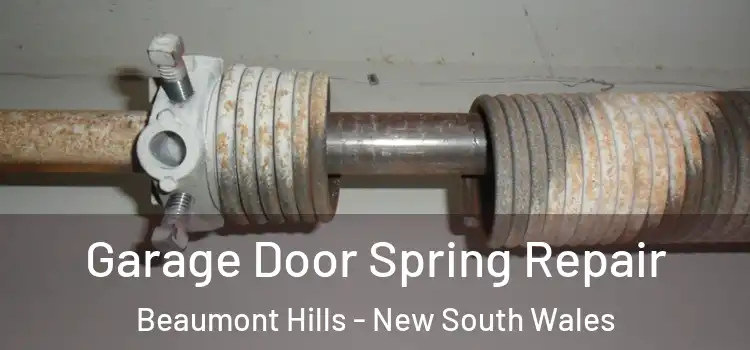 Garage Door Spring Repair Beaumont Hills - New South Wales