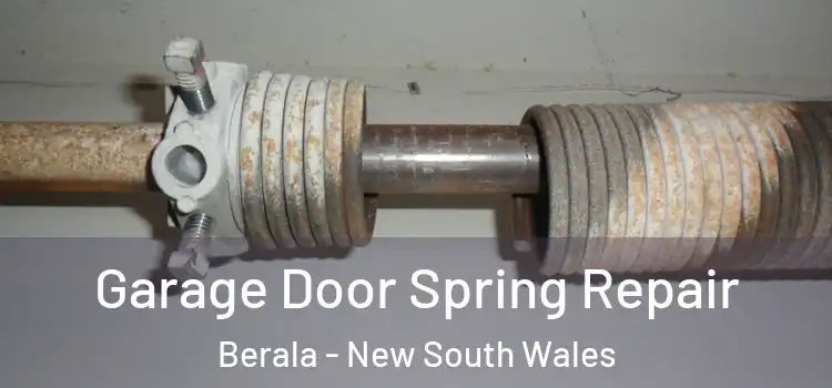 Garage Door Spring Repair Berala - New South Wales