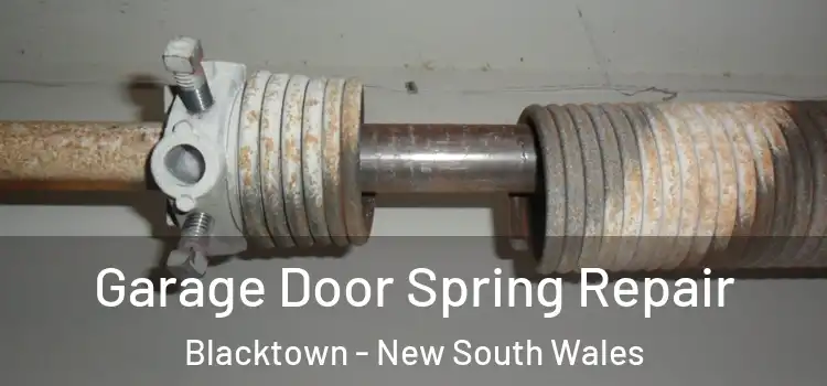 Garage Door Spring Repair Blacktown - New South Wales