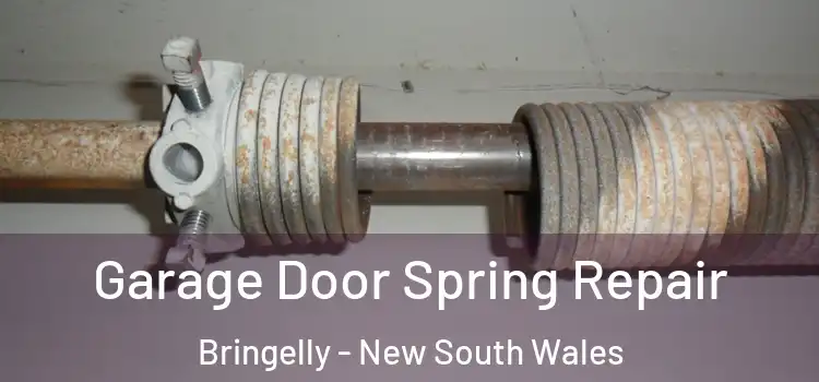 Garage Door Spring Repair Bringelly - New South Wales