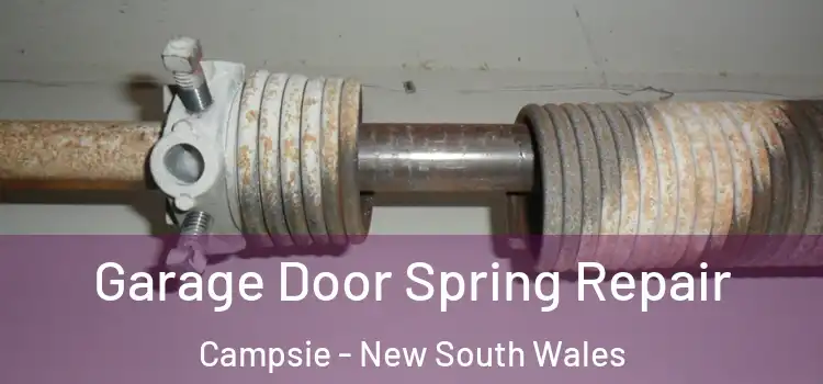 Garage Door Spring Repair Campsie - New South Wales