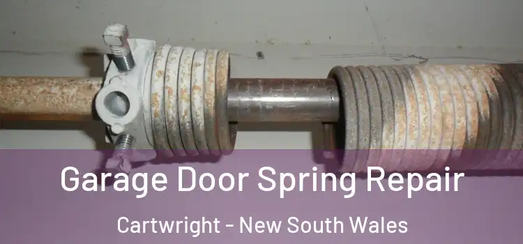 Garage Door Spring Repair Cartwright - New South Wales