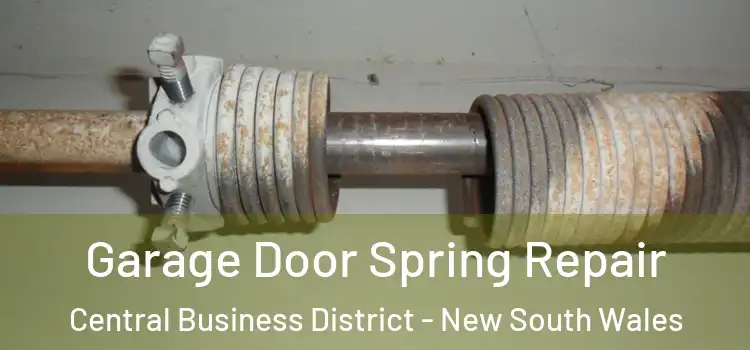 Garage Door Spring Repair Central Business District - New South Wales