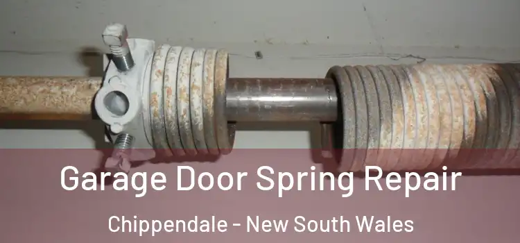 Garage Door Spring Repair Chippendale - New South Wales