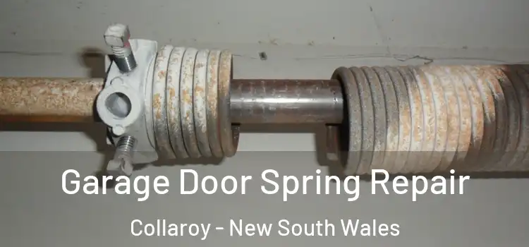 Garage Door Spring Repair Collaroy - New South Wales