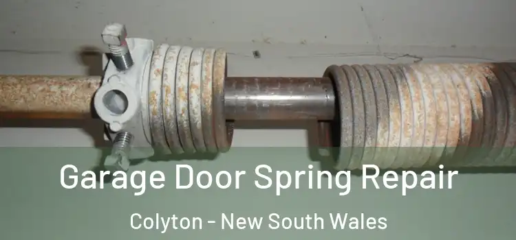 Garage Door Spring Repair Colyton - New South Wales