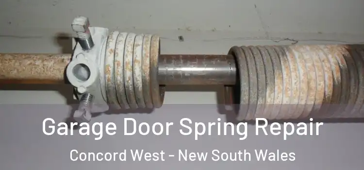 Garage Door Spring Repair Concord West - New South Wales