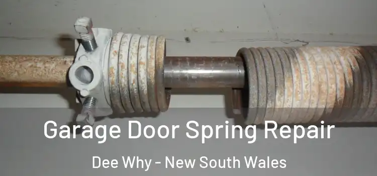 Garage Door Spring Repair Dee Why - New South Wales