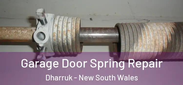 Garage Door Spring Repair Dharruk - New South Wales