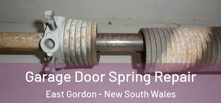 Garage Door Spring Repair East Gordon - New South Wales