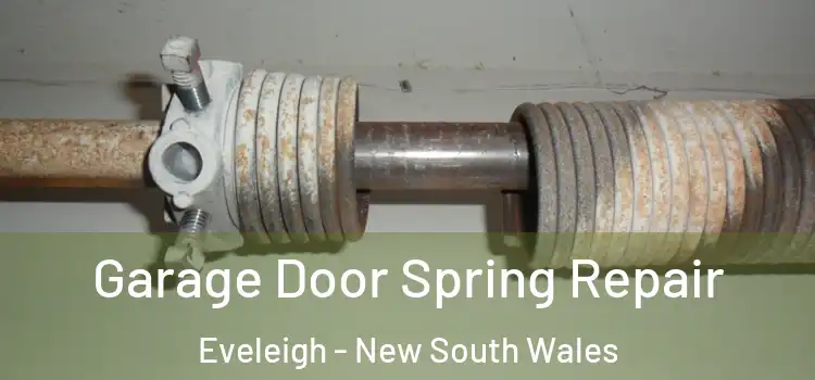 Garage Door Spring Repair Eveleigh - New South Wales