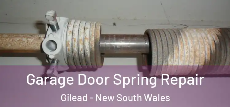 Garage Door Spring Repair Gilead - New South Wales