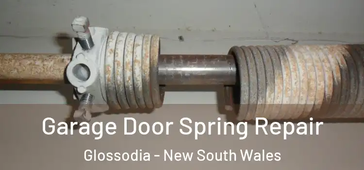 Garage Door Spring Repair Glossodia - New South Wales