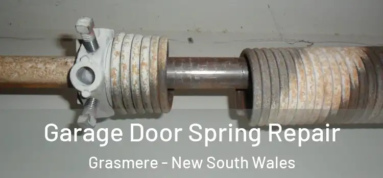 Garage Door Spring Repair Grasmere - New South Wales
