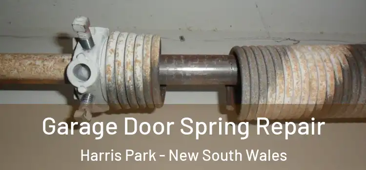 Garage Door Spring Repair Harris Park - New South Wales